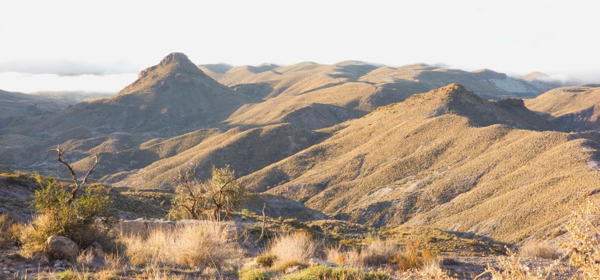 Cortijo El Albaricoque De La Sierra - Finca De 75 Hectareas ! Nijar Luaran gambar