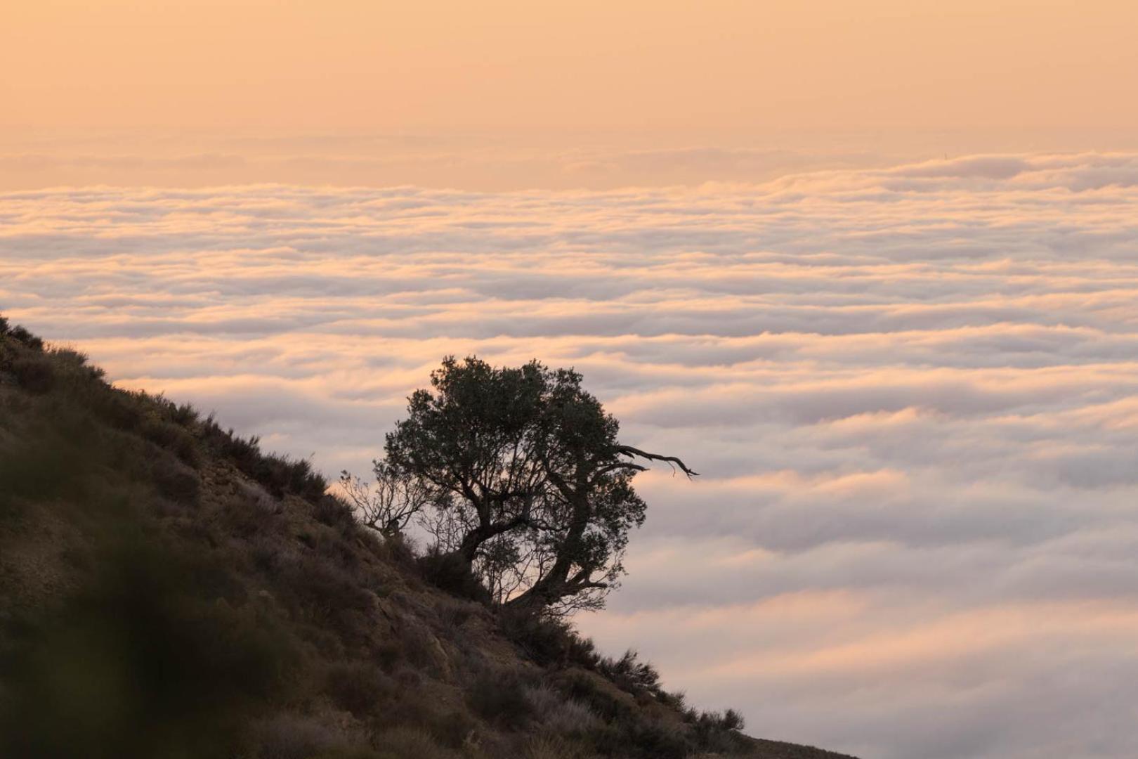 Cortijo El Albaricoque De La Sierra - Finca De 75 Hectareas ! Nijar Luaran gambar